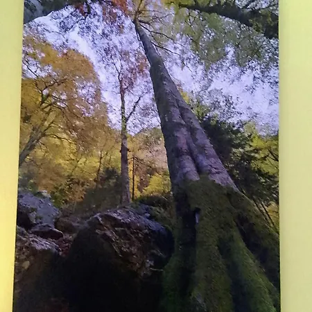 아파트 15 Min From Messe, And Ecb