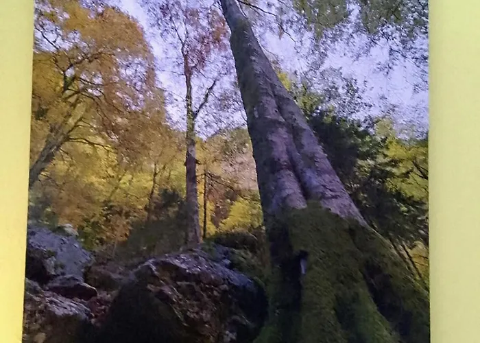 Apartment 15 Min From Messe, And Ecb